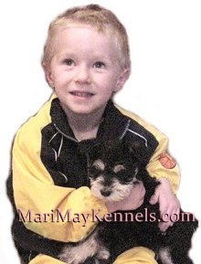 Mari-May service dog, Schnoodle, Michigan